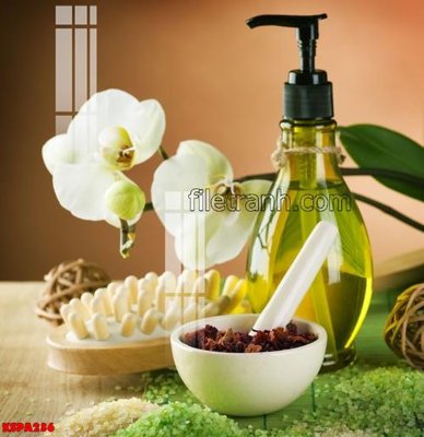 File tranh Tranh trang trí Spa làm đẹp KSPA236 (gốc) phong cách tối giản