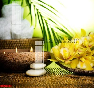 Mua file gốc Tranh trang trí Spa làm đẹp KSPA301 (in ấn) tại Filetranh.com