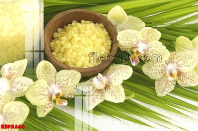 Tải file gốc Tranh trang trí Spa làm đẹp KSPA348 dùng cho in ấn