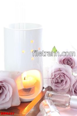 Tải file gốc Tranh trang trí Spa làm đẹp KSPA357 (in khổ lớn) không mờ