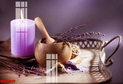 File gốc Tranh trang trí Spa làm đẹp KSPA359 (bản quyền) cho in ấn