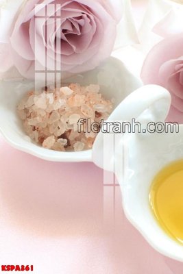 Download file gốc Tranh trang trí Spa làm đẹp KSPA361 (in lụa) cao cấp