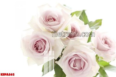 Tải file Tranh trang trí Spa làm đẹp KSPA362 (ảnh gốc) file AI/EPS