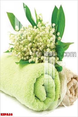 Tệp tin gốc Tranh trang trí Spa làm đẹp KSPA38 (chất lượng cao) Tranh trang trí Spa làm đẹp KSPA38