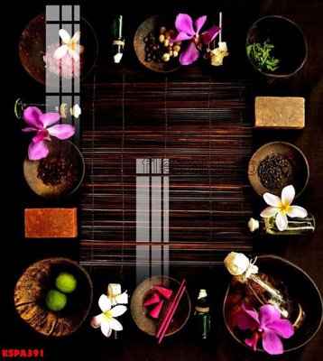 Tải file Tranh trang trí Spa làm đẹp KSPA391 (gốc) chủ đề hoa sen