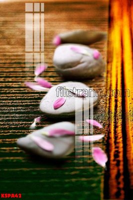 File tranh Tranh trang trí Spa làm đẹp KSPA42 (ảnh gốc) độc quyền