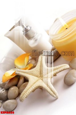 File ảnh Tranh trang trí Spa làm đẹp KSPA456 (gốc) in standee