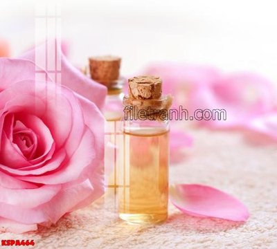 File tranh Tranh trang trí Spa làm đẹp KSPA464 (gốc) chủ đề tĩnh vật