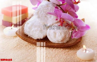Tệp tin gốc Tranh trang trí Spa làm đẹp KSPA465 (dùng cho in ấn) chuyên nghiệp