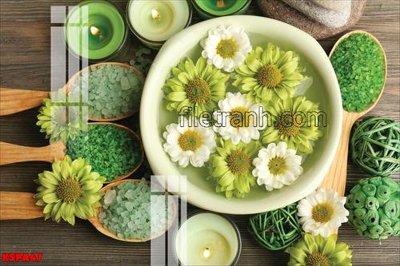 Tải file Tranh trang trí Spa làm đẹp KSPA47 (ảnh gốc) 300dpi Tranh trang trí Spa làm đẹp KSPA47