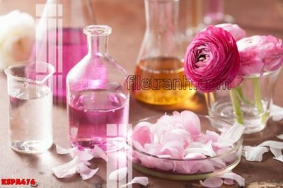 File tranh ảnh gốc Tranh trang trí Spa làm đẹp KSPA474 dùng cho in khổ lớn