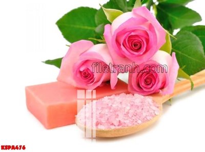 Ảnh gốc Tranh trang trí Spa làm đẹp KSPA476 (độ nét cao) in mica