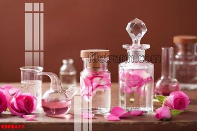 File tranh Tranh trang trí Spa làm đẹp KSPA477 (gốc) in vải canvas