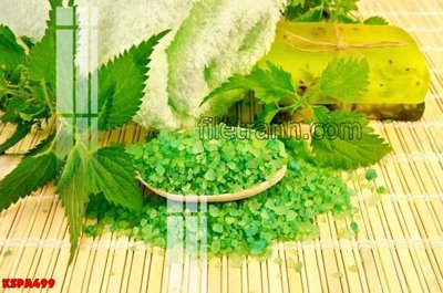 File gốc Tranh trang trí Spa làm đẹp KSPA499 (PNG) trong suốt (transparent)