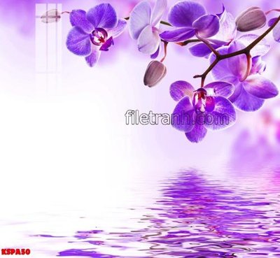 Tải file Tranh trang trí Spa làm đẹp KSPA50 (gốc) in nhanh