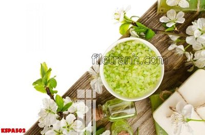 Download file Tranh trang trí Spa làm đẹp KSPA502 (gốc) in mica đèn LED