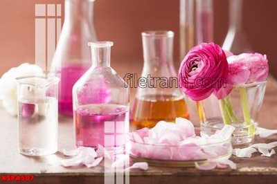 File gốc Tranh trang trí Spa làm đẹp KSPA507 (cho in ấn) từ kho Filetranh