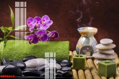 Tải file Tranh trang trí Spa làm đẹp KSPA515 (gốc) để in ấn ngay