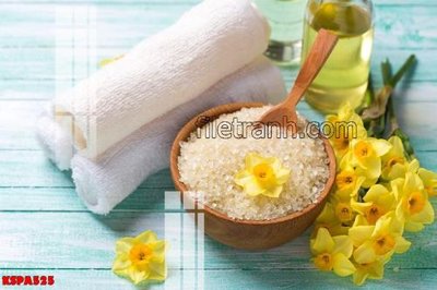 File ảnh Tranh trang trí Spa làm đẹp KSPA525 (gốc) in poster