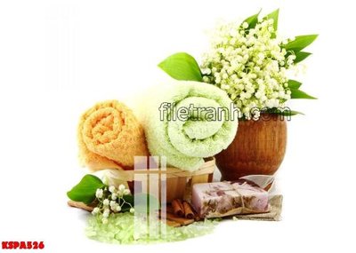File tranh Tranh trang trí Spa làm đẹp KSPA526 (gốc) phong cách tối giản