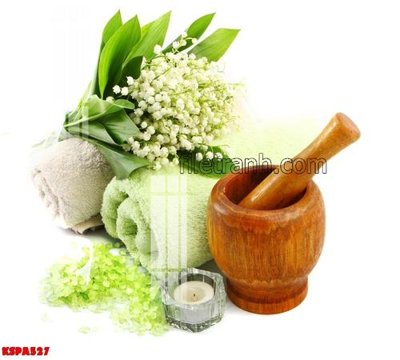 File tranh Tranh trang trí Spa làm đẹp KSPA527 (bản gốc) in lụa 3D