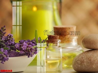 Download file Tranh trang trí Spa làm đẹp KSPA545 (gốc) in mica ốp bếp