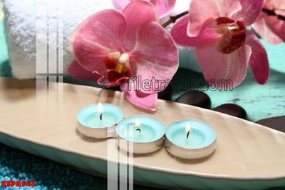 File in trần Tranh trang trí Spa làm đẹp KSPA546 (bản gốc) 5D