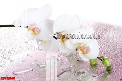 File ảnh Tranh trang trí Spa làm đẹp KSPA569 (gốc) trang trí khách sạn