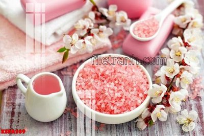 Mua file ảnh gốc Tranh trang trí Spa làm đẹp KSPA589 (chất lượng cao)