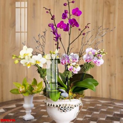 File in trần Tranh trang trí Spa làm đẹp KSPA596 (bản gốc) bầu trời