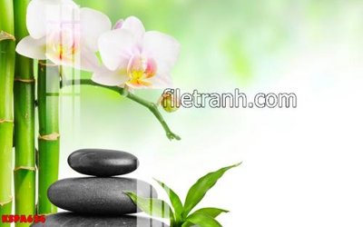 Hình ảnh file gốc in lụa Tranh trang trí Spa làm đẹp KSPA624