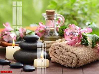 Download file gốc Tranh trang trí Spa làm đẹp KSPA626 (in mica) trong suốt