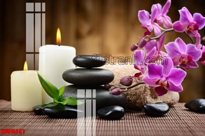 File gốc Tranh trang trí Spa làm đẹp KSPA631 (cho in ấn) từ kho Filetranh