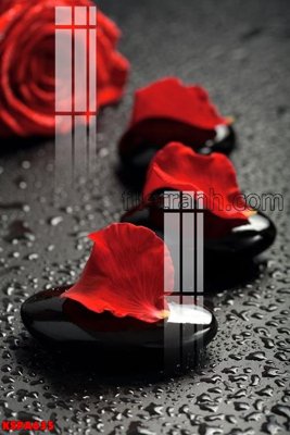 File in trần Tranh trang trí Spa làm đẹp KSPA635 (bản gốc) phong cảnh