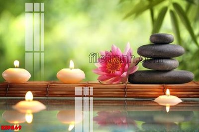 Hình ảnh file gốc in lụa Tranh trang trí Spa làm đẹp KSPA69