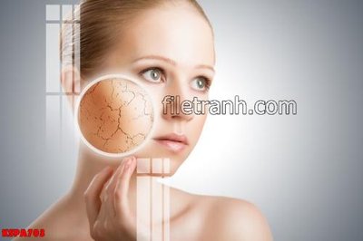 File in lụa Tranh trang trí Spa làm đẹp KSPA703 (hoa văn) Tranh trang trí Spa làm đẹp KSPA703