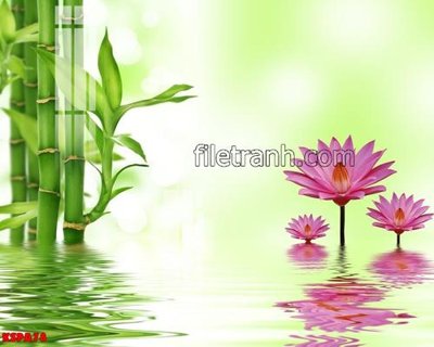 Tải file gốc Tranh trang trí Spa làm đẹp KSPA78 (in tráng gương) cao cấpFile gốc Tranh trang trí Spa làm đẹp KSPA78 (in ấn) phiên bản độc quyền