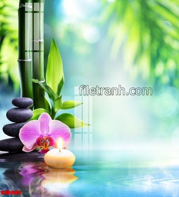 File tranh Tranh trang trí Spa làm đẹp KSPA98 (bản gốc) in lụa dán tường