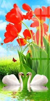 File tranh Tranh trang trí Spa làm đẹp MP102 (bản gốc) in lụa 3D