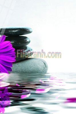 File tranh Tranh trang trí Spa làm đẹp MP113 (ảnh gốc) in trần nhà