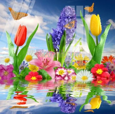 Ảnh gốc Tranh trang trí Spa làm đẹp MP122 (độ nét cao) in mica