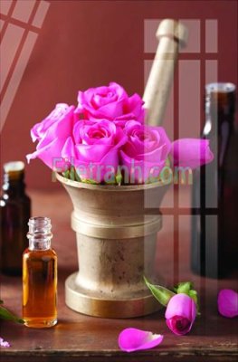 File in lụa Tranh trang trí Spa làm đẹp MP131 (chất lượng cao) Tranh trang trí Spa làm đẹp MP131