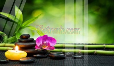 File gốc Tranh trang trí Spa làm đẹp MP143 (ảnh chi tiết) để in trần