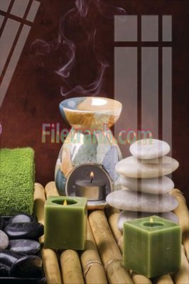 File ảnh Tranh trang trí Spa làm đẹp MP148 (gốc) in backdrop sự kiện