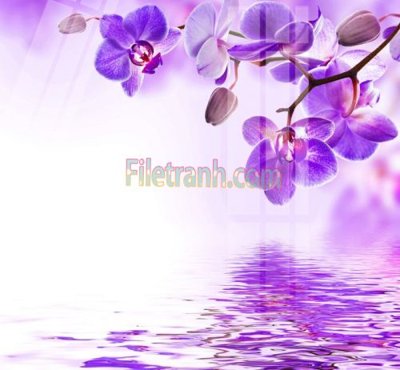 Tải file gốc Tranh trang trí Spa làm đẹp MP150 (để in lụa)