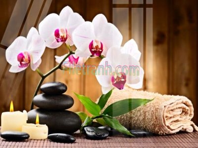 File tranh in tráng gương Tranh trang trí Spa làm đẹp MP173 (siêu nét)