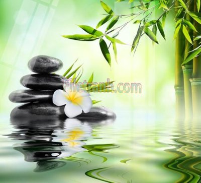 File gốc Tranh trang trí Spa làm đẹp MP174 (in lụa) họa tiết 3D