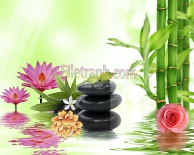 File in trần Tranh trang trí Spa làm đẹp MP196 (bản gốc) 5D