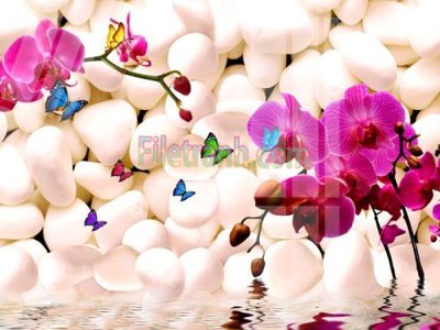 File tranh in tráng gương Tranh trang trí Spa làm đẹp MP197 (siêu nét)