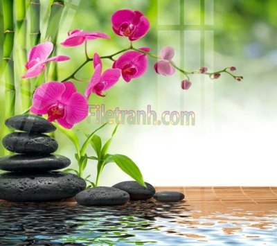 Tải file Tranh trang trí Spa làm đẹp MP203 (ảnh gốc) in gạch men